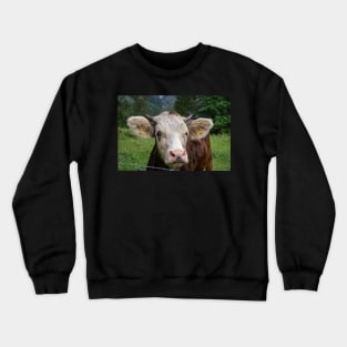 Swiss Cow 4 Crewneck Sweatshirt